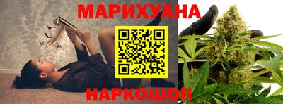 сатива Кимры