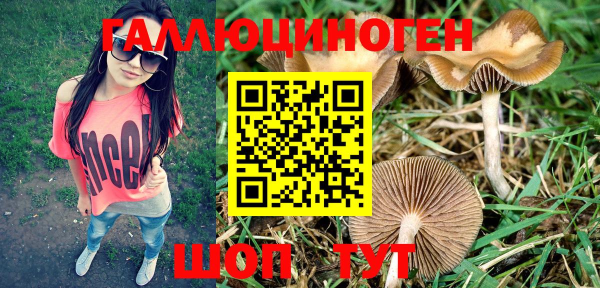 Псилоцибиновые грибы MAGIC MUSHROOMS Королёв