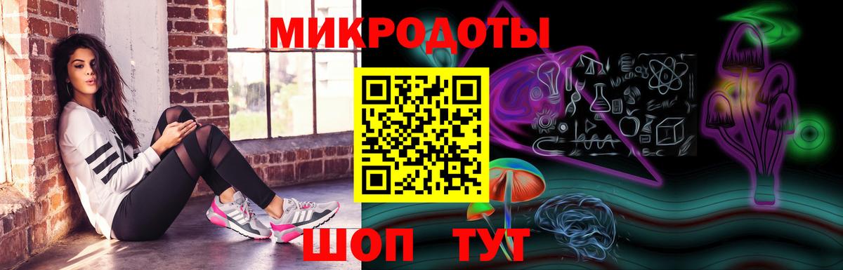 где купить наркотик  Вход с VPN  Королёв  Псилоцибиновые грибы Psilocybe 